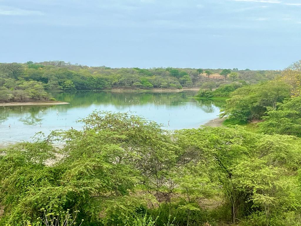 Laguna Lamaderos